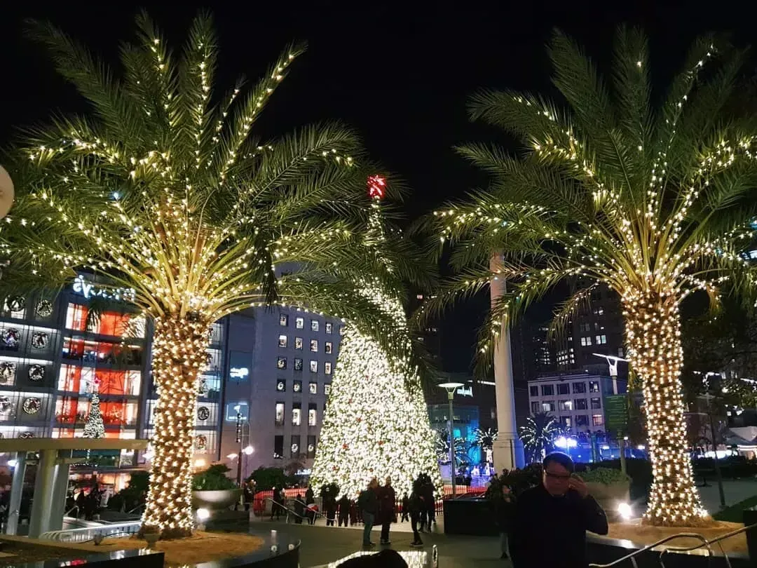 union-square-christmas-trees